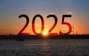 Projetos e Expectativas para 2025: Direitos das Pessoas com Deficiência